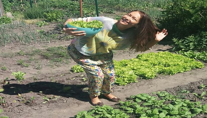 Kodėl labai verta auginti, valgyti SALOTAS ?